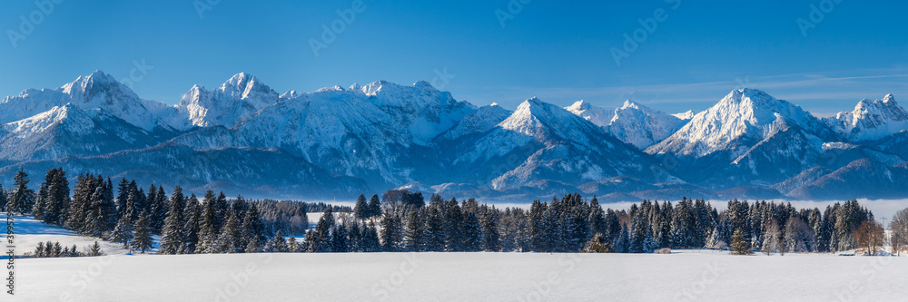 panoramic winter landscape in Germany, Bavaria, and alps mountain range - obrazy, fototapety, plakaty 