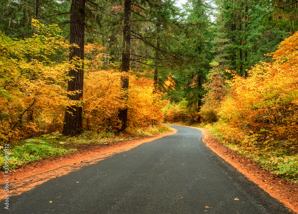 Autum Drive Autum Drive
