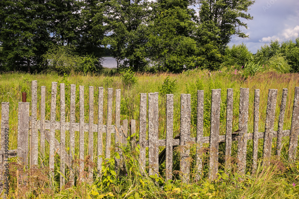 Old wooden fence. An abandoned garden. Rustic grey picket fence