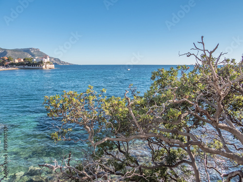 baie des fourmis entre Beaulieu sur Mer et Saint Jean Cap Ferrat sur la Côte d'Azur