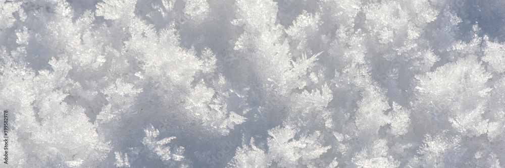 detail of fresh powdwer snow as Background detail of fresh powdwer snow as Background