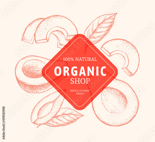 avocado sketch set with shop logo