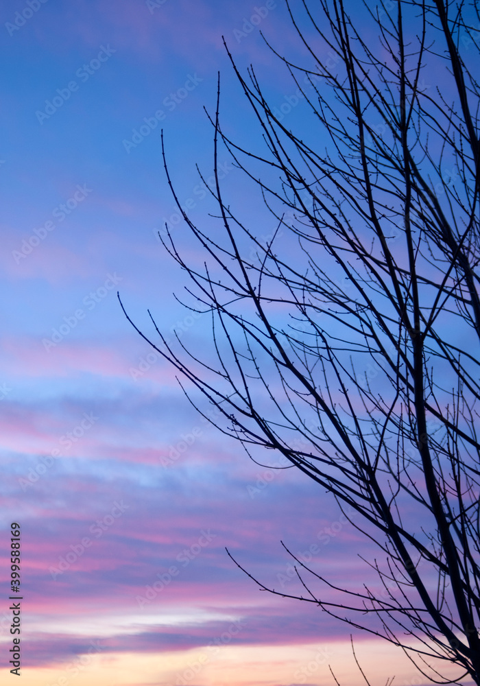 Obraz premium WINTER'S SUNSET #146