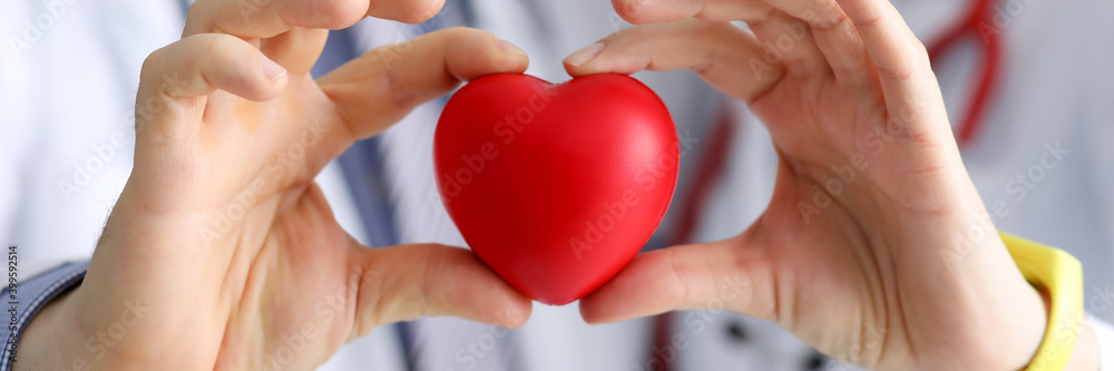 Doctors cardiologists hold red toy heart in clinic closeup. Diagnosis and treatment of myocardial infarction concept. Doctors cardiologists hold red toy heart in clinic closeup. Diagnosis and treatment of myocardial infarction concept.