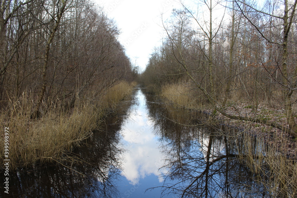 river in the forest river in the forest
