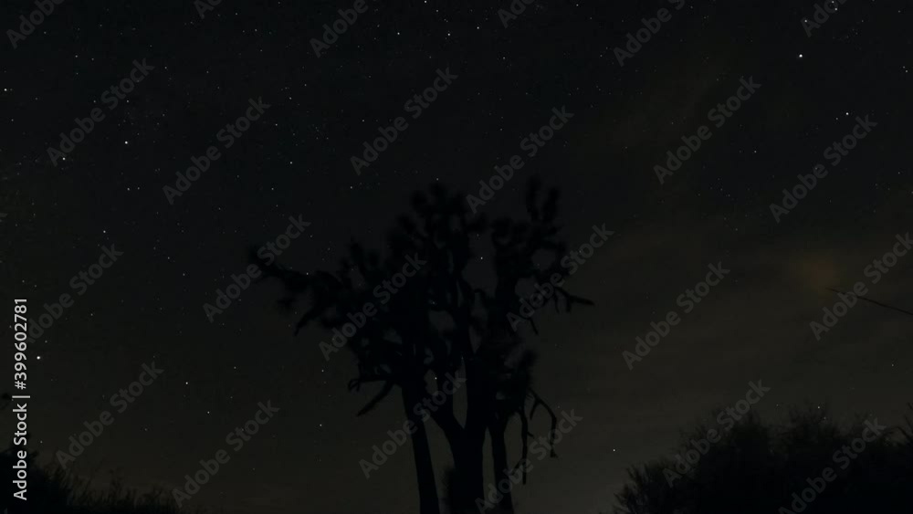 All night, sunset to dawn, time lapse with stars moving across the night sky with a Joshua tree in the foreground - can be played in an endless loop