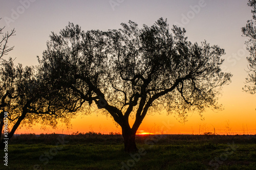 Tramonto in campagna © canoista83