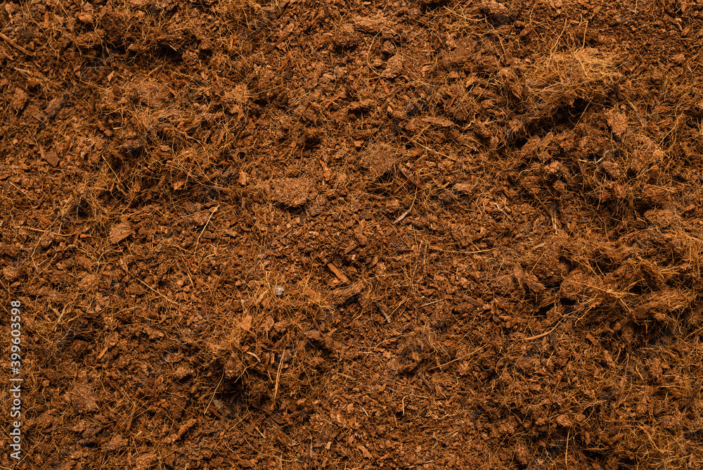 Coconut substrate background. Coconut substrate background.