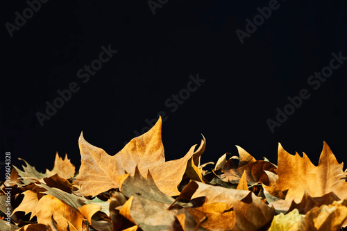Fallen yellow leaves on the floor. Autumn background with copy-space