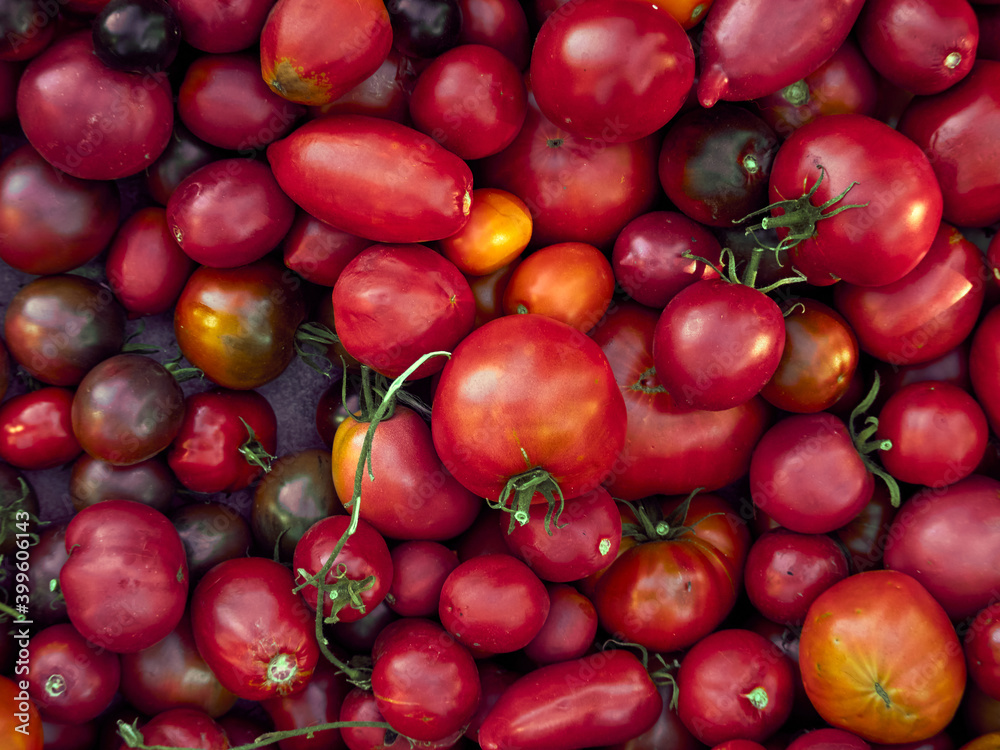Background with ripe red tomatoes.. Background with ripe red tomatoes..