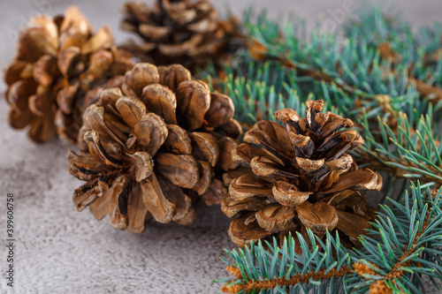 Pine cone and green branch on wooden table .Christmas card. Pine cones on wooden background.