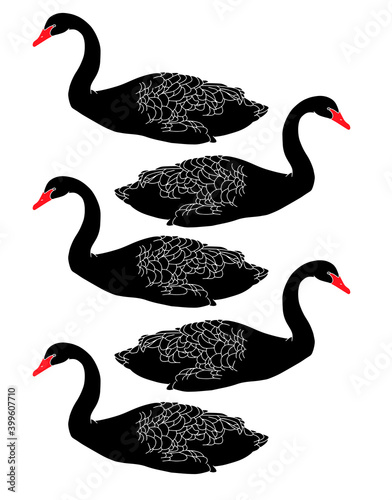 Vector hand drawn minimalistic illustration of swans. Creative artwork. Template for card, poster, banner, print for t-shirt, pin, badge, patch.