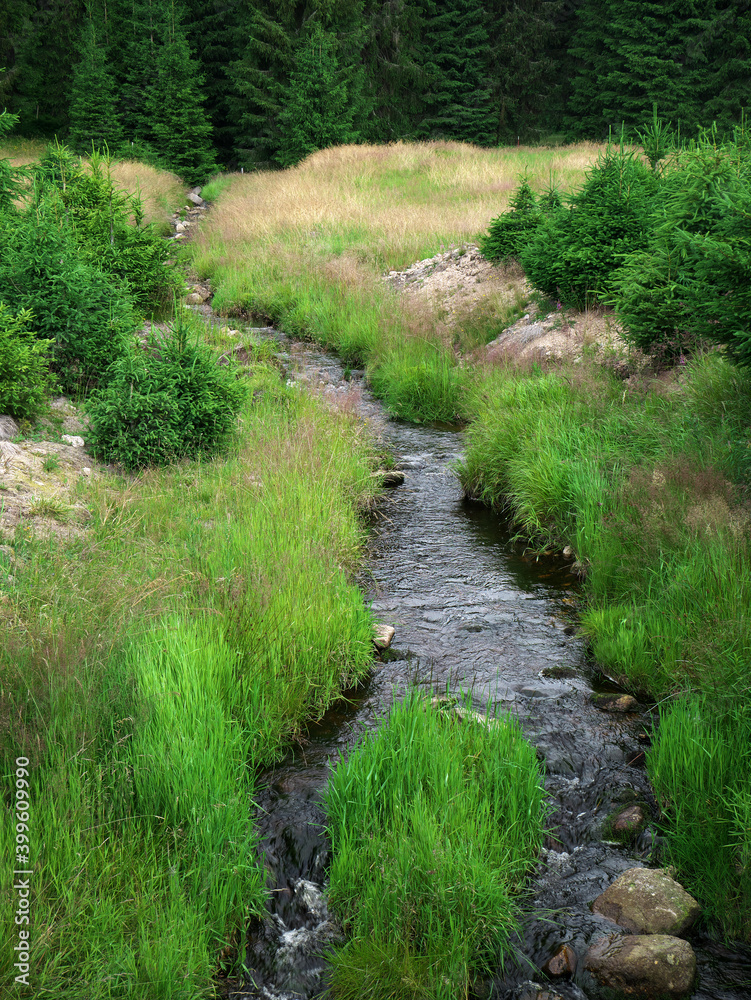 River in the Ore Mountains in the west of the Czech Republic River in the Ore Mountains in the west of the Czech Republic