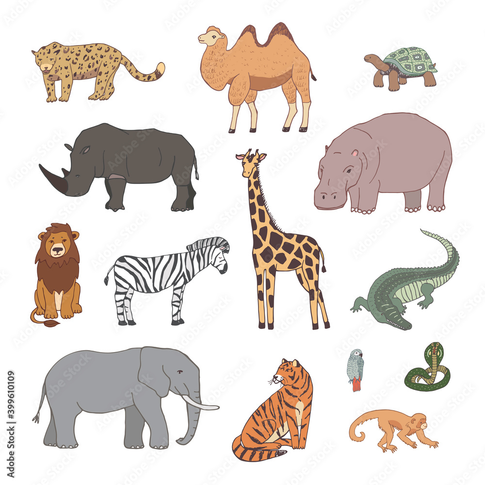 African animals map vector hand drawn illustrations set.
