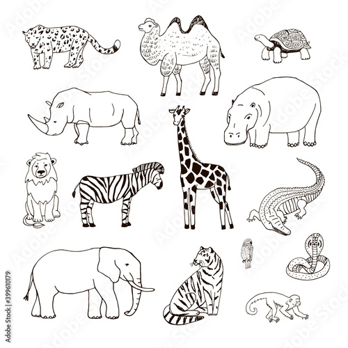 African animals map vector hand drawn illustrations line set.