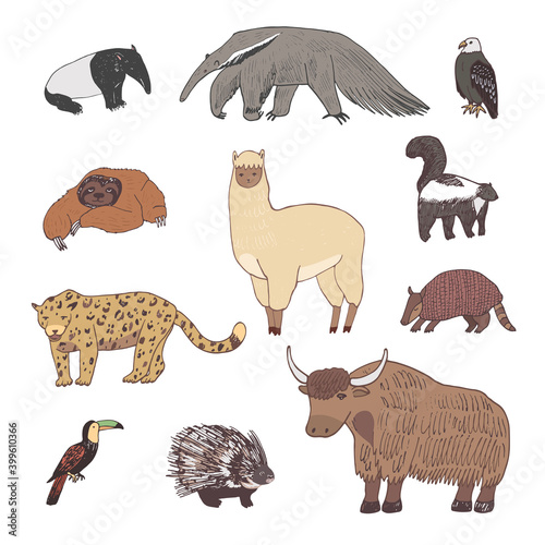 South America world map animals hand drawn vector set 
