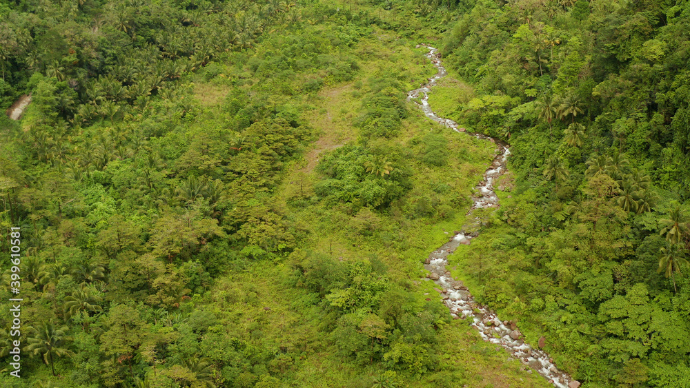 River in the rainforest through the green jungle covered with green forest and palm trees aerial view. River in the green forest. Camiguin, Philippines.