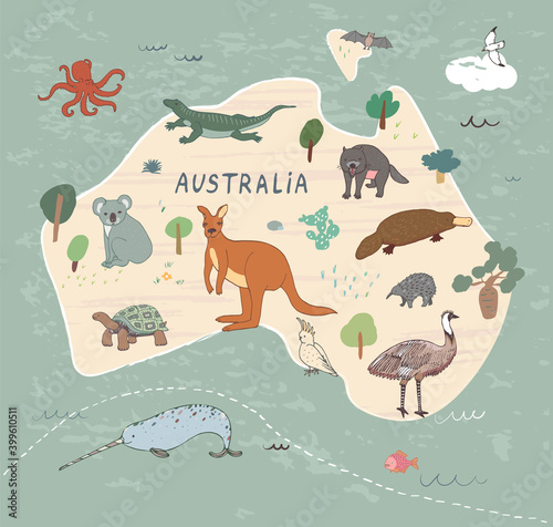 Australian animals hand drawn vector illustrations set