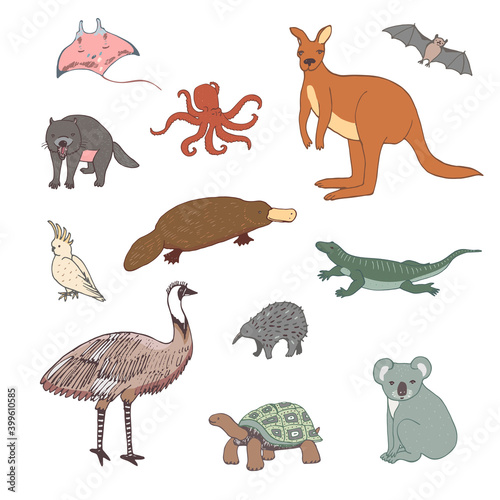 Australian animals hand drawn vector illustrations set