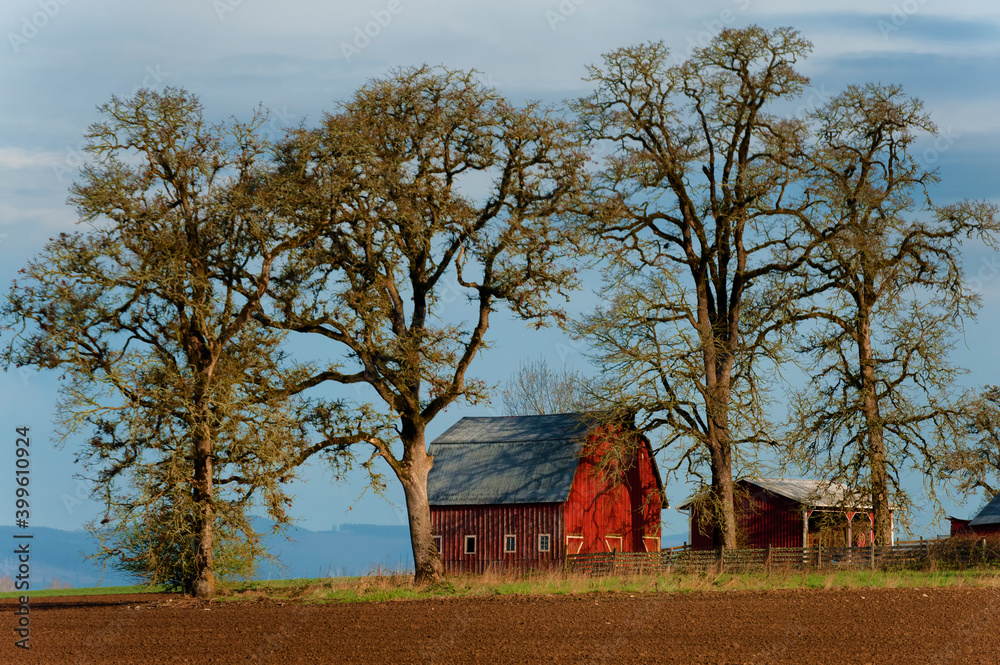Morning sunlight on Agricultural Landscape with red barn Morning sunlight on Agricultural Landscape with red barn