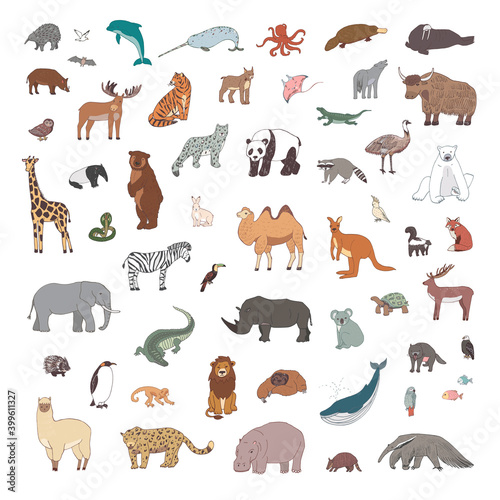 Fototapeta Naklejka Na Ścianę i Meble -  Animals vector hand drawn world illustrations set