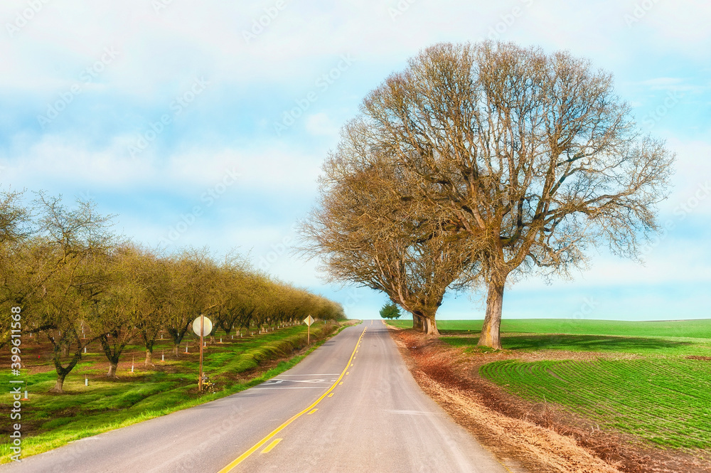 Rural Country Road through Agriculture grounds Rural Country Road through Agriculture grounds