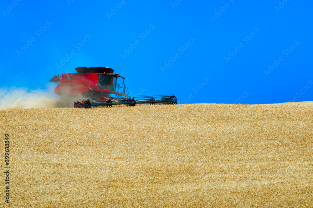 Obraz premium Grain Harvesting