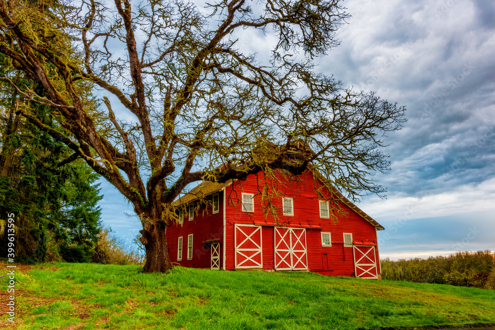 Fototapeta premium Red Barn in a rural setting
