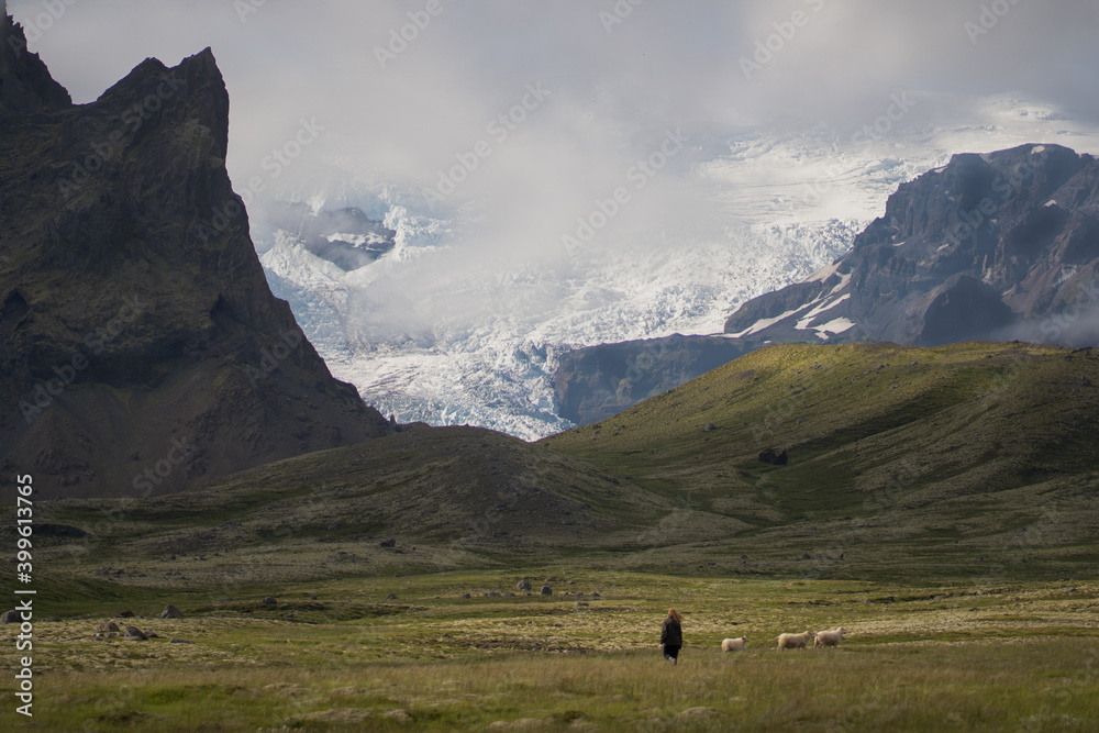 meadow in Iceland with the Vatnajökull National Park mountains and glaciers in the background