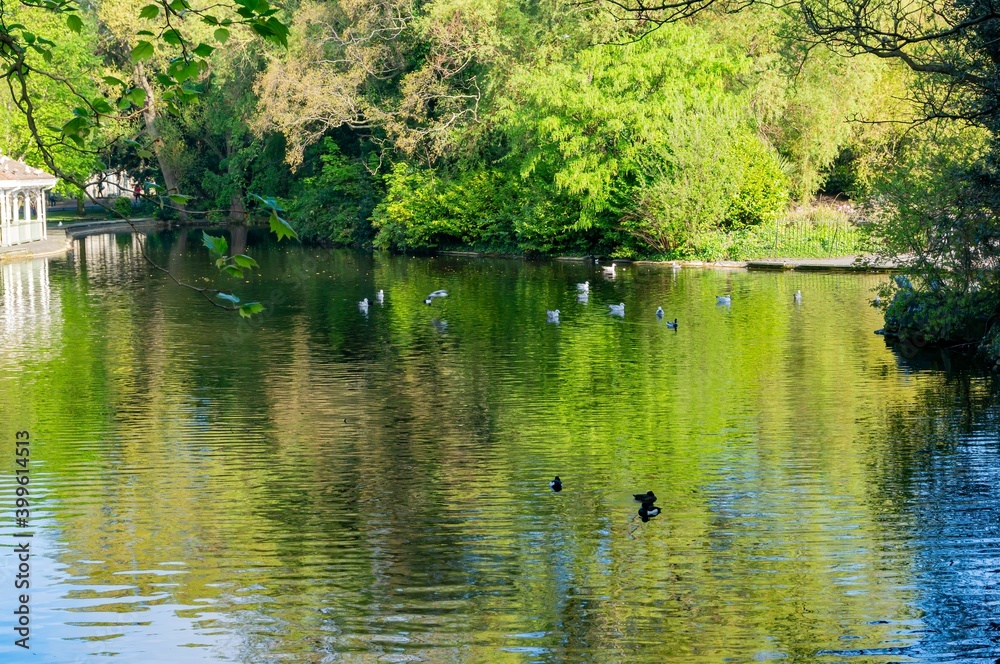 Beautiful lake landscape at St Stephen's Green Beautiful lake landscape at St Stephen's Green