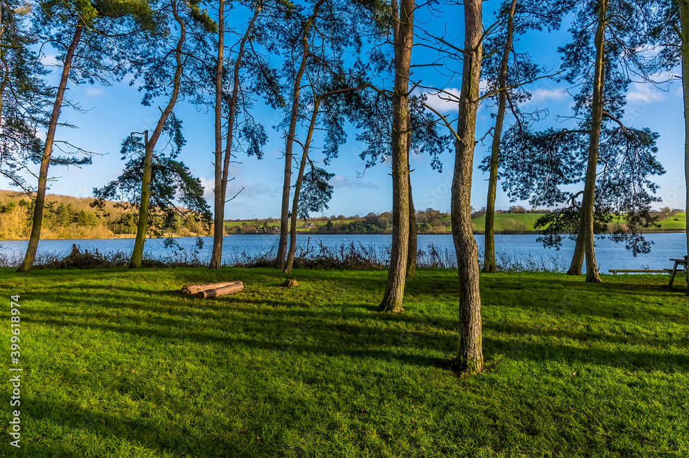 A view through the tree-lined shore towards Thornton Reservoir, UK on a bright sunny day A view through the tree-lined shore towards Thornton Reservoir, UK on a bright sunny day
