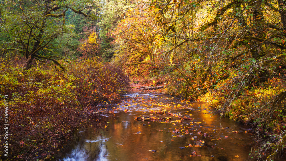 Autumn at Silver Creek