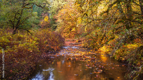 Autumn at Silver Creek