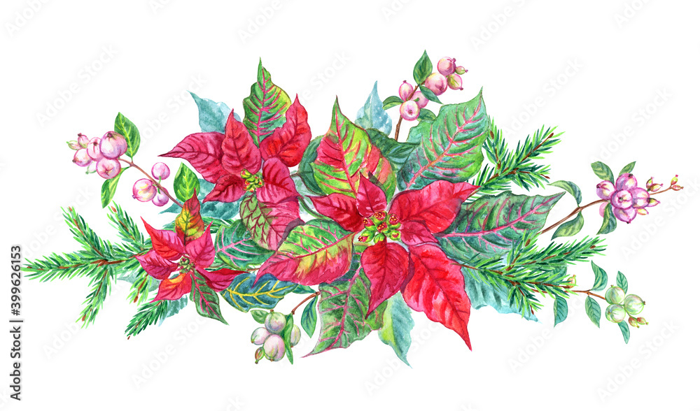 Christmas bouquet with poinsettia, fir branches and snowberry, watercolor illustration on a white background, New Year's vignette, clipart for Christmas cards and other designs.