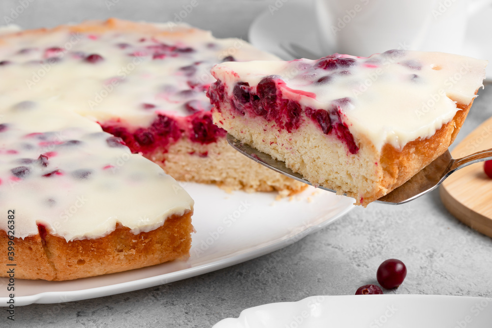 Homemade cake with cranberries and sour cream. Piece of pie close up Homemade cake with cranberries and sour cream. Piece of pie close up