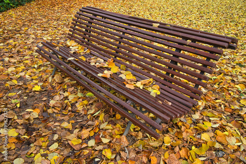 bench in autumn park