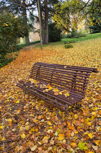 bench in autumn park