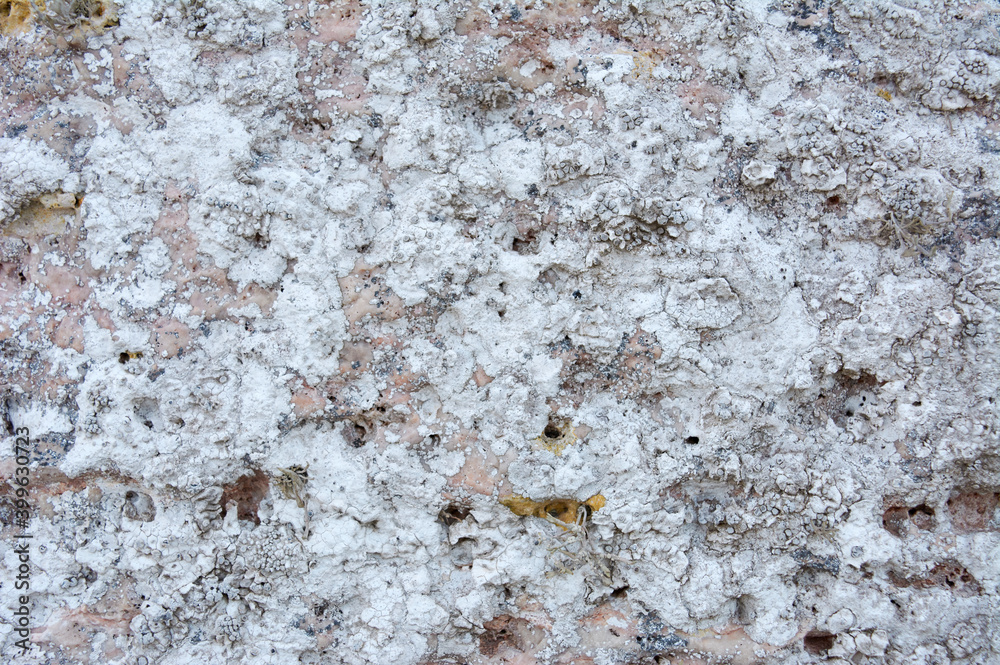 Textured stone, sandstone, limestone surface. Close image. Stone, natural abstract texture for backgrounds. Close up. Wallpaper, architecture. Textured stone, sandstone, limestone surface. Close image. Stone, natural abstract texture for backgrounds. Close up. Wallpaper, architecture.