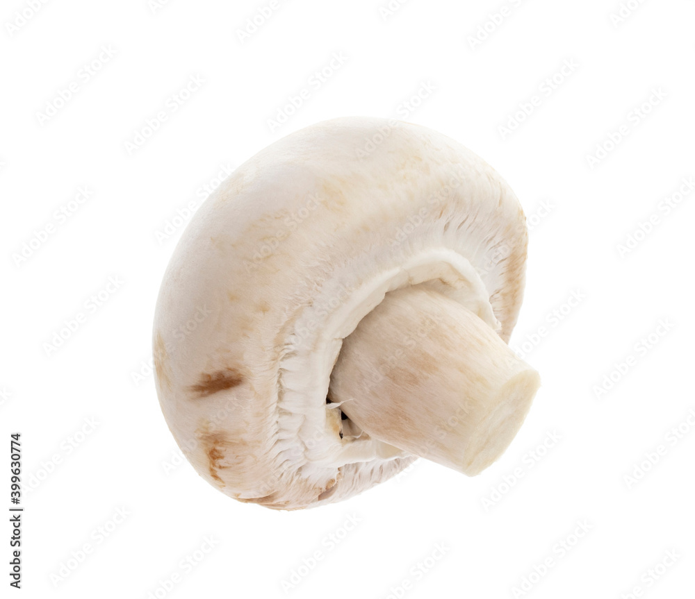 Fototapeta premium champignon isolated on a white background.