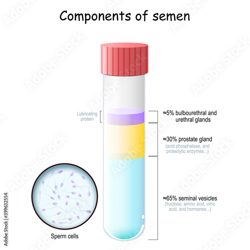 Semen components. Test tube with sperm cells