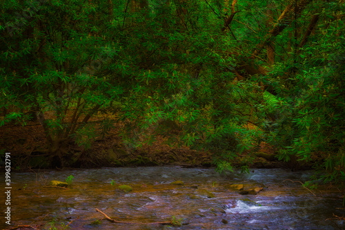 Cades Cove Valley in The Tenneessee Smoky Mountains © Dee