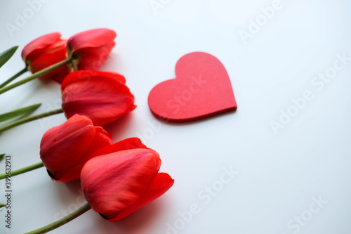 Fototapeta Naklejka Na Ścianę i Meble -  Happy Valentine's Day greeting card. bouquet of red tulips on white background, red heart and space for text