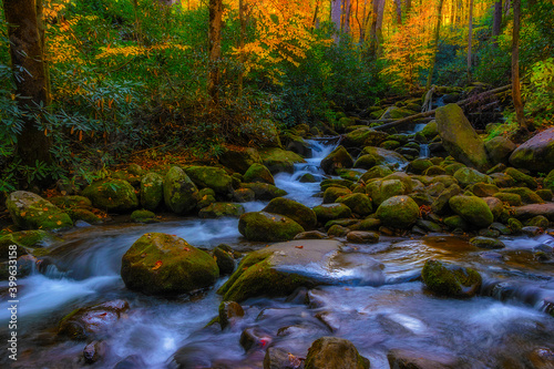 Roaring Fork Motor Trail in the Smokey Mountains