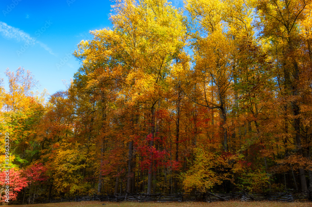 Roaring Fork Motor Trail in the Smokey Mountains Roaring Fork Motor Trail in the Smokey Mountains