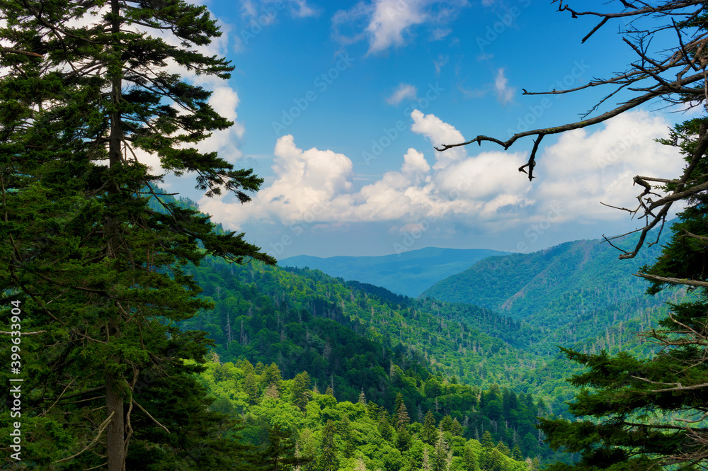 Great Smoky Mountins National Park in summer Great Smoky Mountins National Park in summer