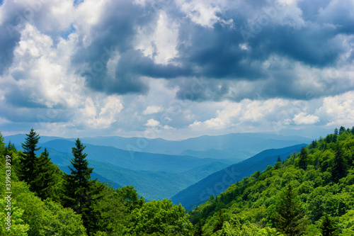 Great Smoky Mountins National Park in summer