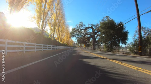Countryside rear view driving shot of old oak trees on Potrero Road in rural Ventura County California.