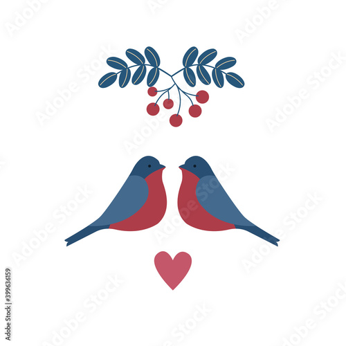 Bullfinches and bunches of mountain ash. Vector illustration.