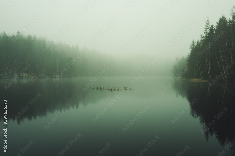 Misty morning by the forest lake. Trees and surroundings are reflected on the water surface. Misty morning by the forest lake. Trees and surroundings are reflected on the water surface.