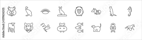 outline set of animals line icons. linear vector icons such as vulture, clam, orangutan, ermine, sea horse, calf, jaguar, jerboa, hippo, ferret, wild horse